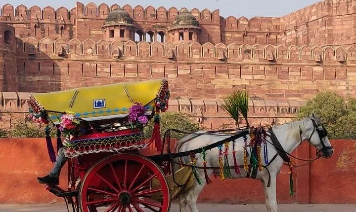 Delhi Agra Same Day Private Tour With Guide