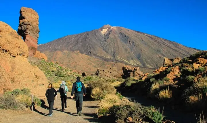 Half-day excursion to Teide National Park