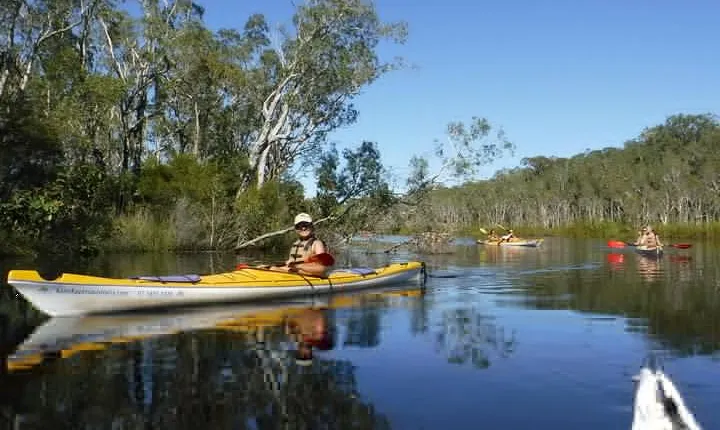 Self-Guided Noosa Everglades Kayak Tour