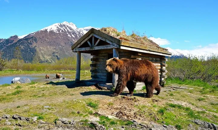 Anchorage to Whittier Cruise Transfer and Private Tour