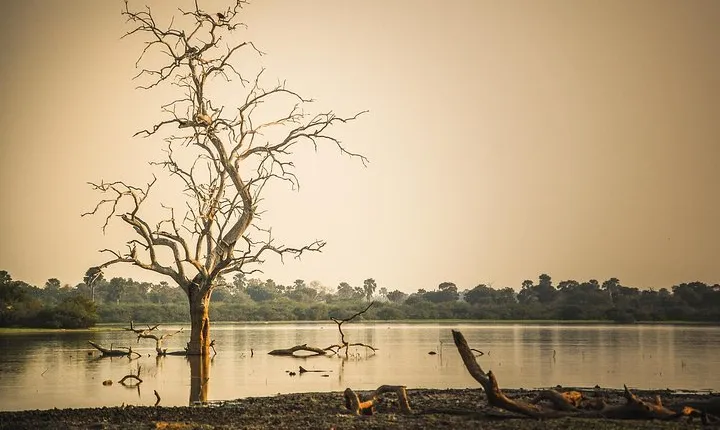3 Days Safari - Selous Game Reserve