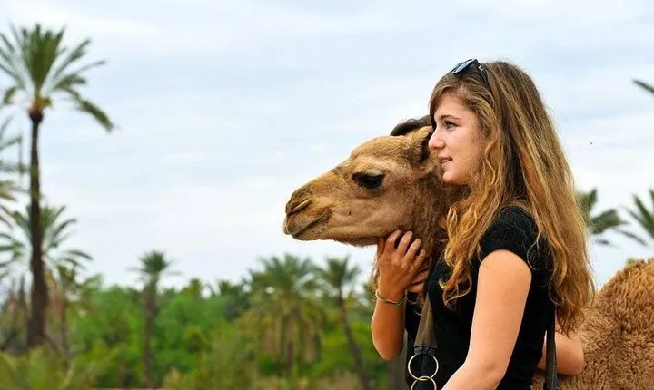 Atlas Mountains & 3 Valleys Day Tour Fro Marrakech Including Lunch & Camel Ride 