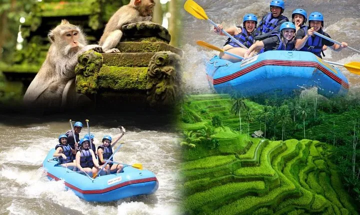 Full day Ubud Trip Rafting and Rice Terrace with Monkey Forest
