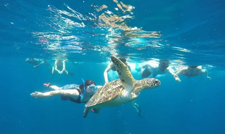 Snorkeling Tour In Gili Trawangan, Gili Meno And Gili Air Pick Up From Bali