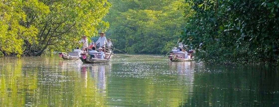 Koh Chang Mangrove Forest Gondola Tour