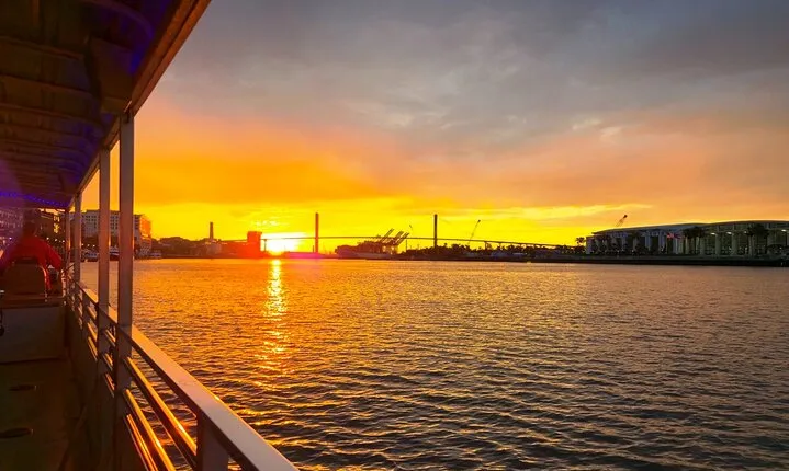 Sunset Dolphin Eco Tour