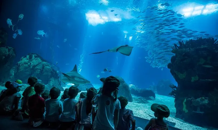 Lisbon Hop-On Hop-Off Bus and Boat Tour with Oceanário Ticket