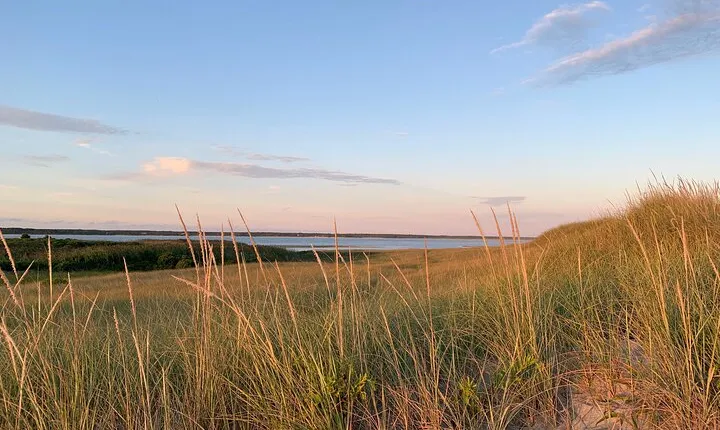 Private, Guided Sightseeing Tour of Marthas Vineyard Island(3hrs)