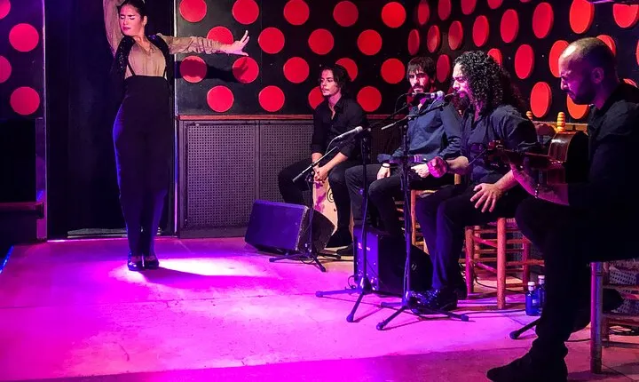 Barcelona Gothic Quarter Tour and Flamenco Show
