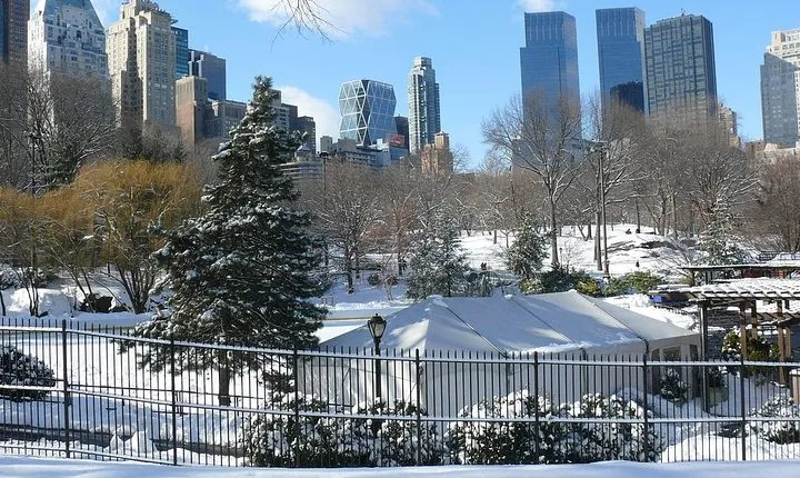 NYC Manhattan Private Custom Christmas Tour with a Local Guide