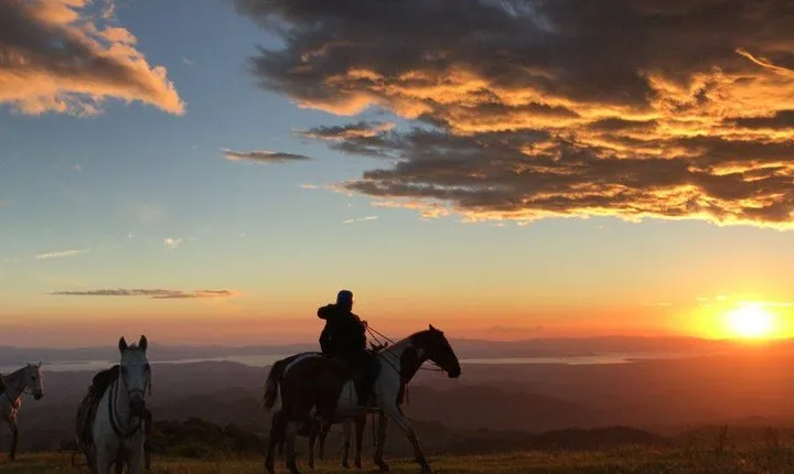 Monteverde Cloud Forest Horseback Riding