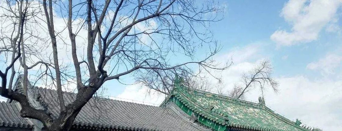 Hutong highlights half day private tour