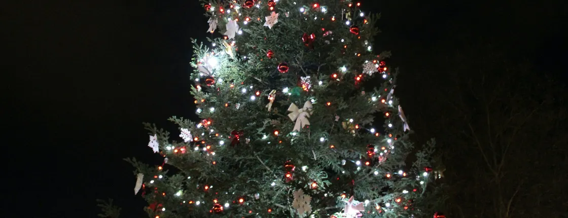 Magic Christmas tour in Pula