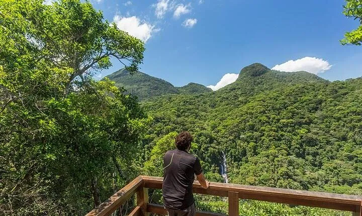 Private 6-hour Hiking Tour in the Tijuca Forest: Waterfalls, Viewpoints & Picnic