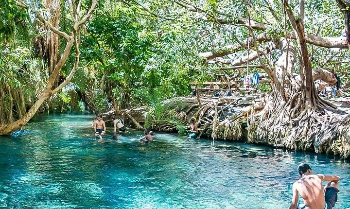 Materuni Waterfall, Coffee Farm Tour, and Kikuletwa Hot Spring
