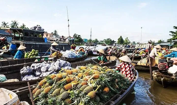 Authentic Mekong Delta Private Tour 2D1N From Ho Chi Minh City
