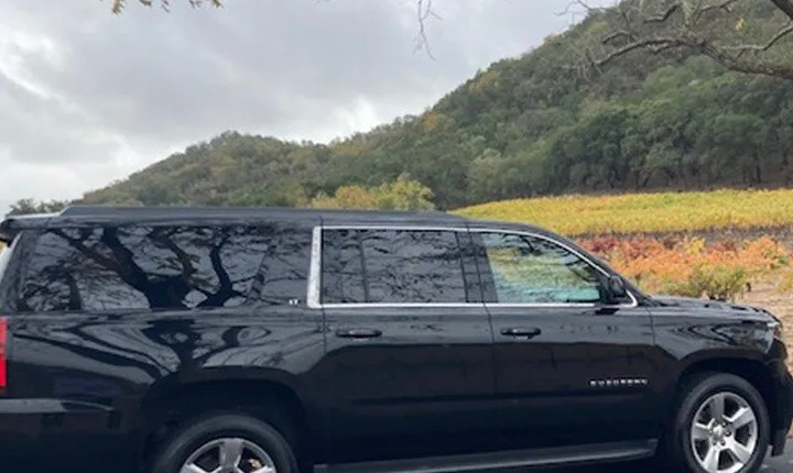6 Hour Napa or Sonoma Valley Wine Tour by Private SUV