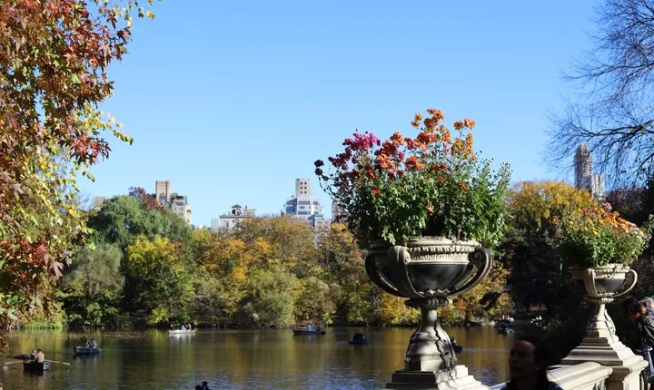 Central Park Scenic Walk with Local Guides