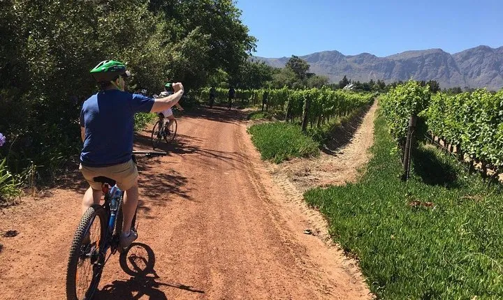Franschhoek Cycle & Tasting Experience 4hr (Shared)
