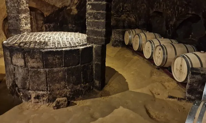 Wine Tasting in Montepulciano with Visit to the Vineyards Private Tour