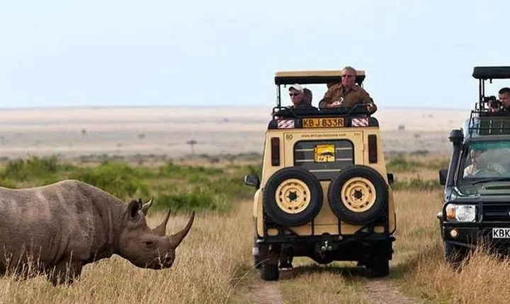 Best 7 Days Kenya Adventure Wildlife Safari