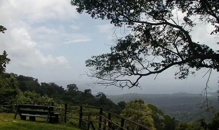Full-Day Brownsberg Nature Park Tour