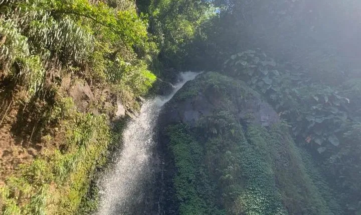 Dark View Falls and Beach Tour with Detention Tours