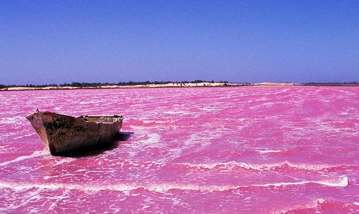 Lac Rose and Noflaye Tortoise Park