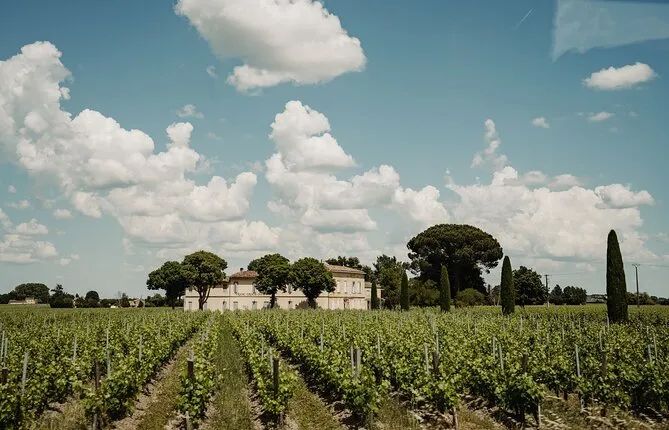 Full-Day Bordeaux Wine Experience with Lunch and Tastings