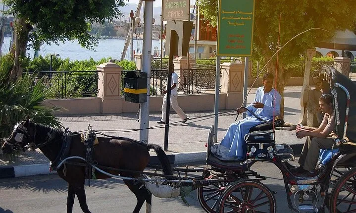 Exploring Luxor City by Horse Carriage Tour