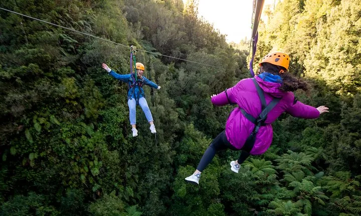 Rotorua's Ultimate Canopy Tour Forest Zipline Adventure