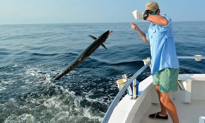 Stunning Private Overnight Fishing with Gear & Dinner - Hurghada