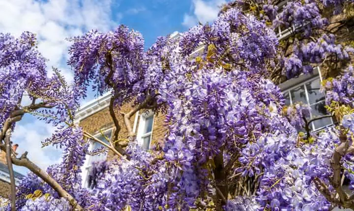 Interactive Treasure Hunt Experience of Kensington's Secrets
