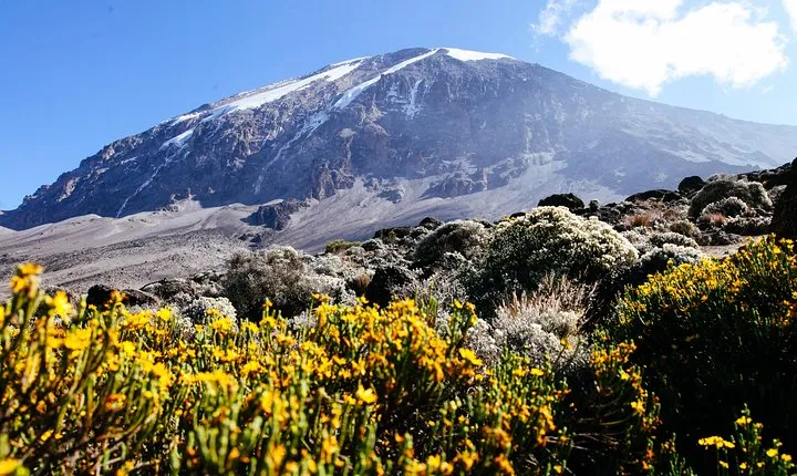 Climb Kilimanjaro - Marangu Route 8 Day Program