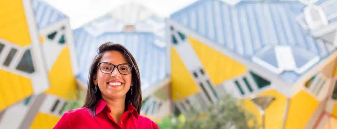 Grand Holland tour of Rotterdam, Delft and The Hague