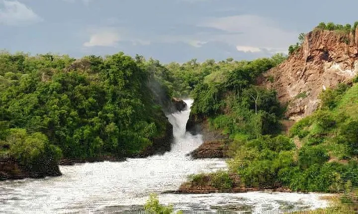 2 Days Murchison Falls Big 5 Savannah wildlife safari
