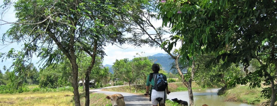 Evening cycling the Langkawi nature trails
