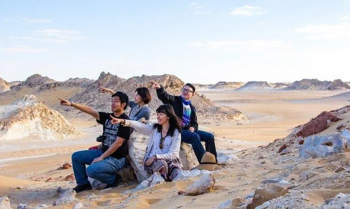 Camping in the White & Black Deserts (Bahariya Oasis) & Cairo Private transfer