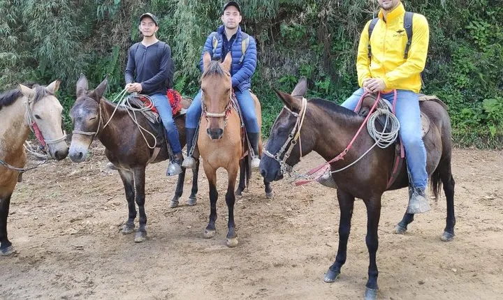 Horseback Riding from Guadalupe to Monserrate Private Day-Tour