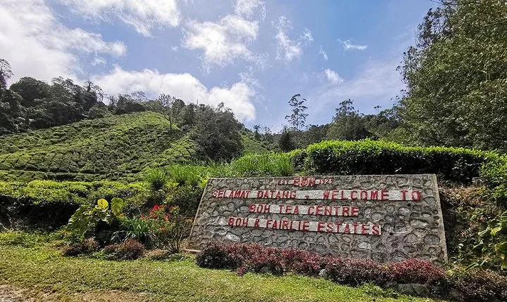 Cameron Highlands Full-Day Tour