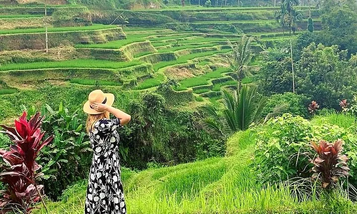 Ubud Tour - Ubud Highlight - Private Tour All inclusive