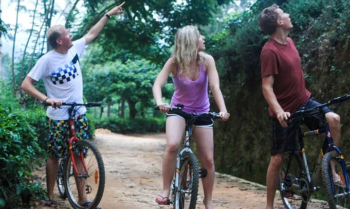 Discover Ancient Ella by Cycling