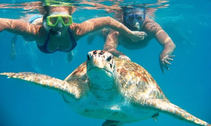 Abu Dabbab Beach Snorkeling Adventure