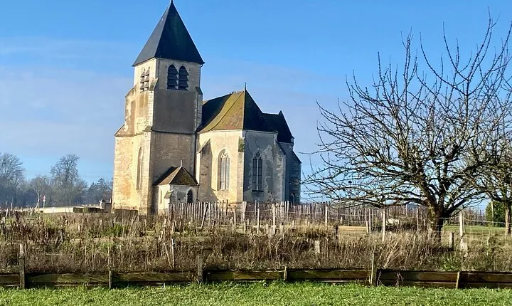 3-Day Castles, Champagne & Chablis Wine Tastings Private Tour