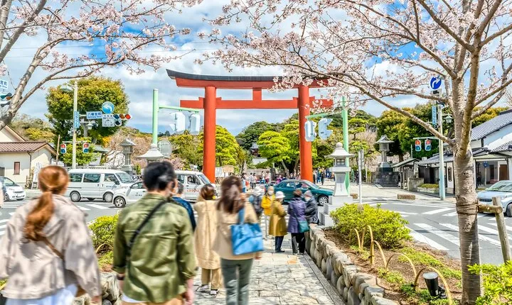 Kamakura: Greedy Gourmet and Temple Tour