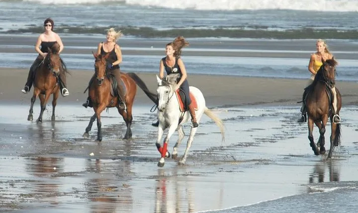 Horse Riding At Black Sand Beach & Two Places Waterfalls