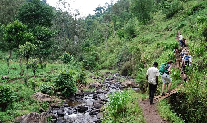 Day Trip To Materuni Waterfalls