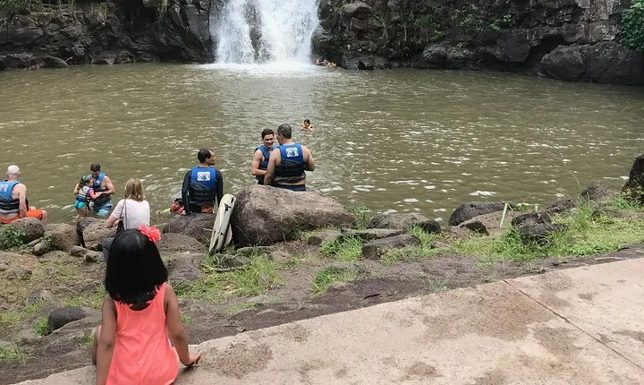 North Shore / Waimea, Falls Day & Swim with Turtles