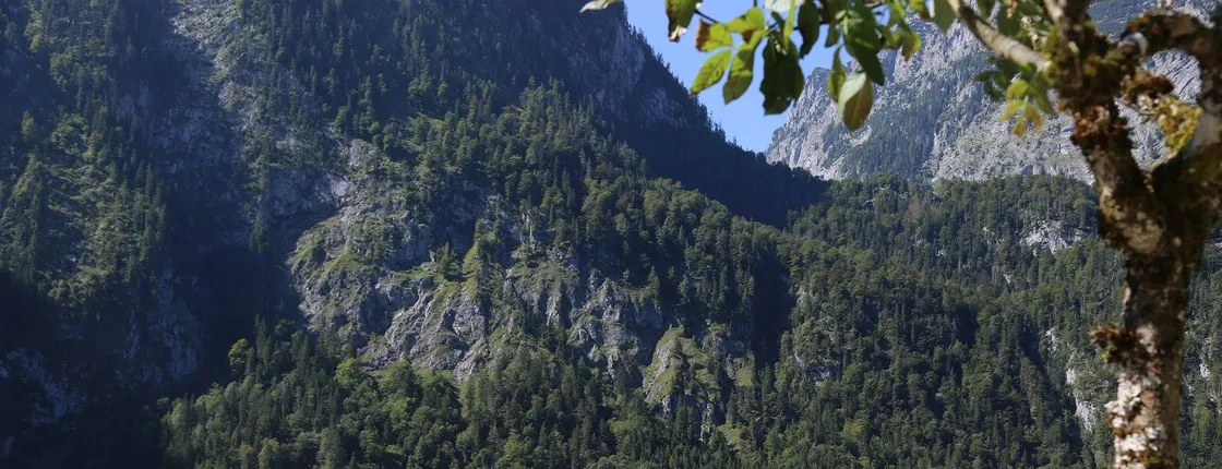 Königssee Private Walking Tour and Boat Ride