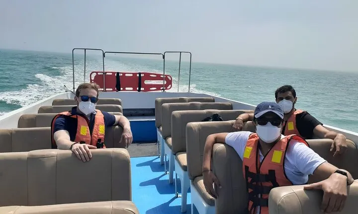 Private Tour to spot Sea Lions in Palomino Islands From Lima